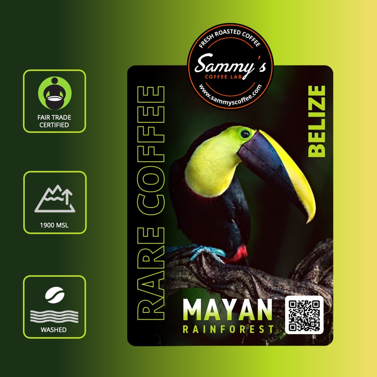 Sammy's - MAYAN BELIZE - Espresso