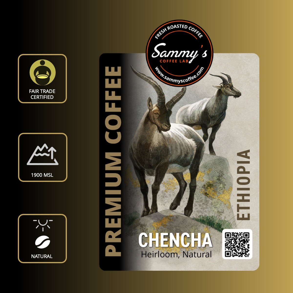 Sammy's - Ethiopia Chencha